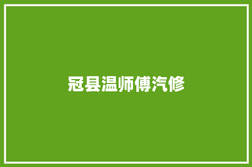 冠县温师傅汽修