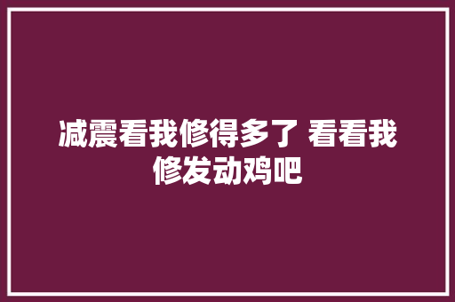 减震看我修得多了 看看我修发动鸡吧