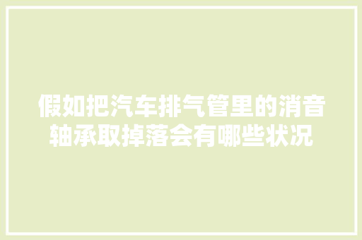 假如把汽车排气管里的消音轴承取掉落会有哪些状况