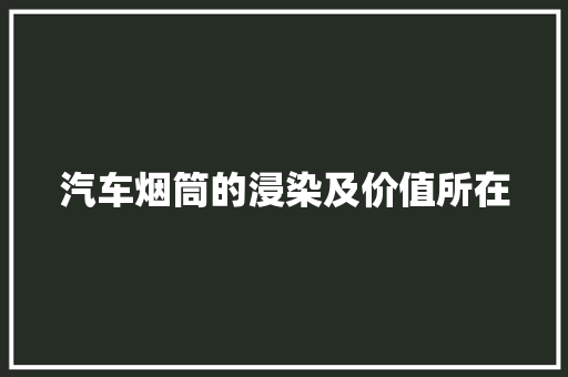 汽车烟筒的浸染及价值所在 汽车知识