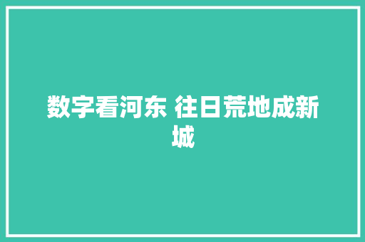 数字看河东 往日荒地成新城