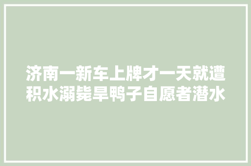 济南一新车上牌才一天就遭积水溺毙旱鸭子自愿者潜水拖车