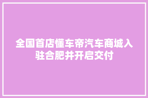 全国首店懂车帝汽车商城入驻合肥并开启交付