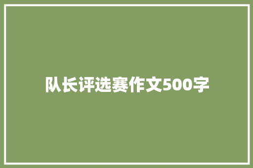 队长评选赛作文500字