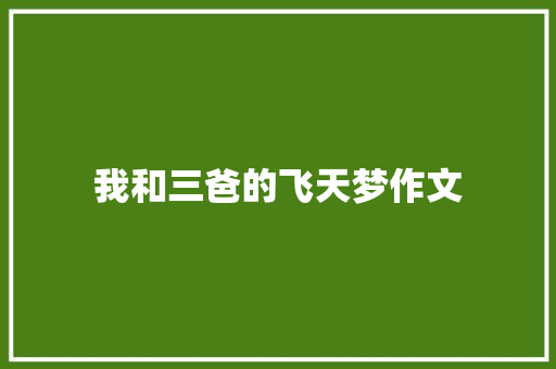 我和三爸的飞天梦作文