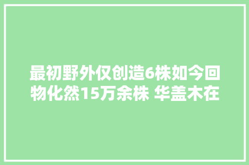 最初野外仅创造6株如今回物化然15万余株 华盖木在抢救性保护中迎来新生公民眼加强生物多样性保护