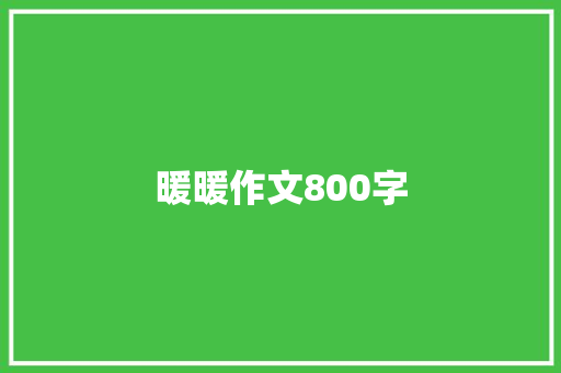 暖暖作文800字