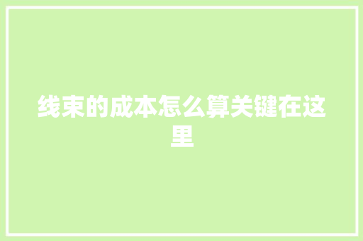 线束的成本怎么算关键在这里