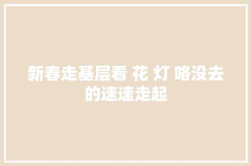 新春走基层看 花 灯 咯没去的速速走起