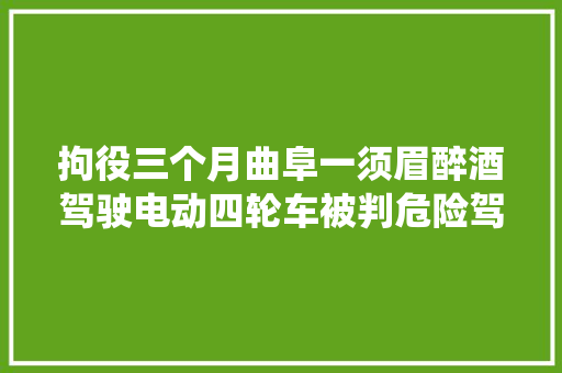 拘役三个月曲阜一须眉醉酒驾驶电动四轮车被判危险驾驶罪