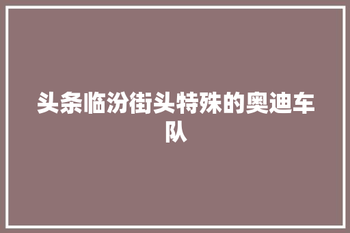 头条临汾街头特殊的奥迪车队