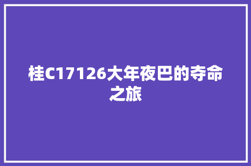 桂C17126大年夜巴的夺命之旅
