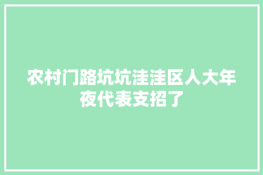 农村门路坑坑洼洼区人大年夜代表支招了