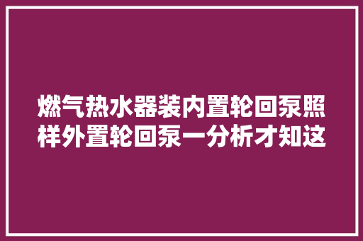 燃气热水器装内置轮回泵照样外置轮回泵一分析才知这种用处大年夜