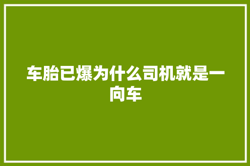 车胎已爆为什么司机就是一向车