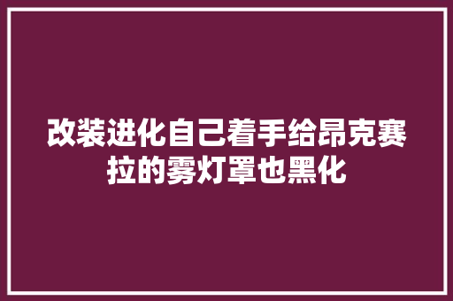 改装进化自己着手给昂克赛拉的雾灯罩也黑化