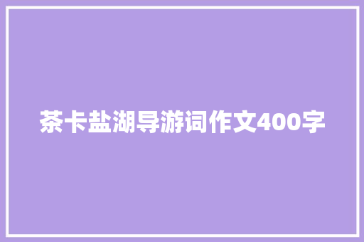 茶卡盐湖导游词作文400字