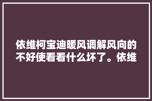 依维柯宝迪暖风调解风向的不好使看看什么坏了。依维柯宝迪