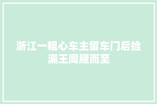 浙江一粗心车主留车门后捡漏王闻腥而至