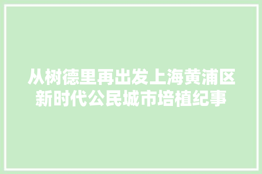 从树德里再出发上海黄浦区新时代公民城市培植纪事