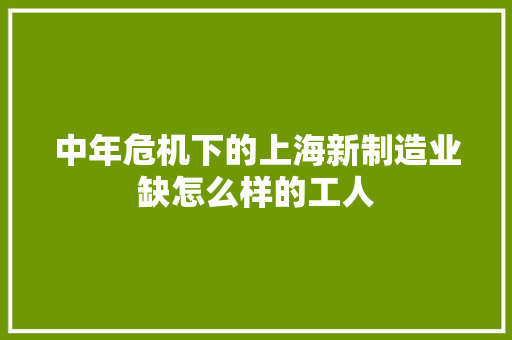 中年危机下的上海新制造业缺怎么样的工人