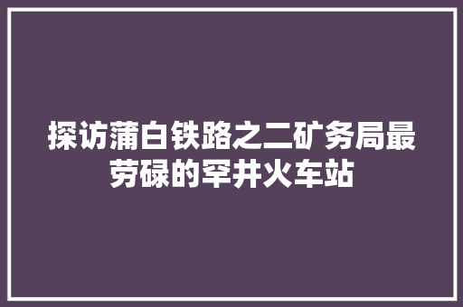 探访蒲白铁路之二矿务局最劳碌的罕井火车站