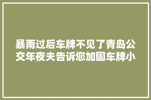 暴雨过后车牌不见了青岛公交年夜夫告诉您加固车牌小秘籍
