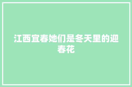 江西宜春她们是冬天里的迎春花
