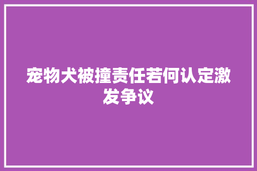 宠物犬被撞责任若何认定激发争议