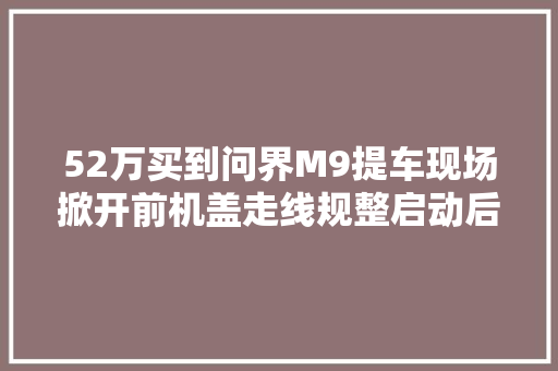 52万买到问界M9提车现场掀开前机盖走线规整启动后安静平稳 汽车知识