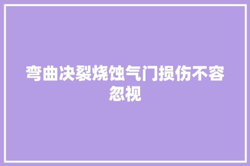 弯曲决裂烧蚀气门损伤不容忽视