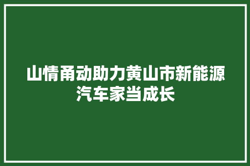 山情甬动助力黄山市新能源汽车家当成长