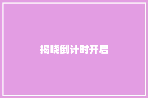 揭晓倒计时开启