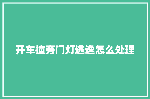 开车撞旁门灯逃逸怎么处理