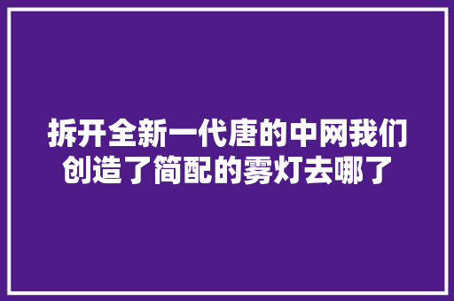 拆开全新一代唐的中网我们创造了简配的雾灯去哪了