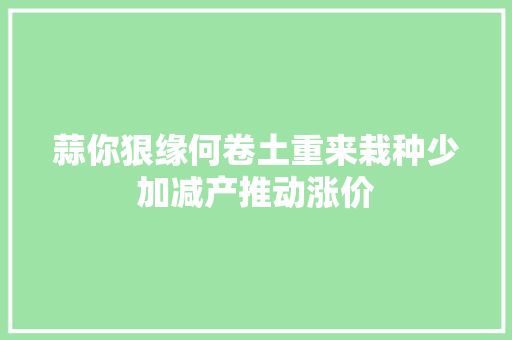 蒜你狠缘何卷土重来栽种少加减产推动涨价