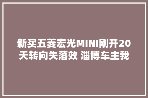 新买五菱宏光MINI刚开20天转向失落效 淄博车主我想退车 不能拿生命安然来赌