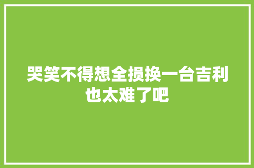 哭笑不得想全损换一台吉利也太难了吧