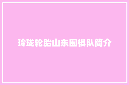 玲珑轮胎山东围棋队简介 汽车知识