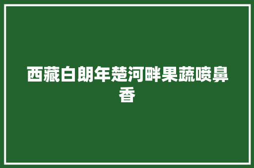 西藏白朗年楚河畔果蔬喷鼻香