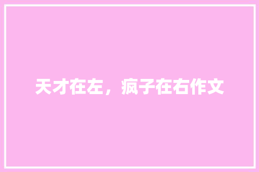 天才在左，疯子在右作文