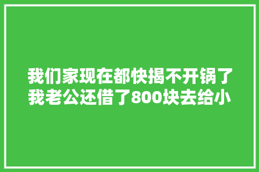 我们家现在都快揭不开锅了我老公还借了800块去给小车换显示屏