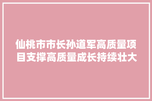 仙桃市市长孙道军高质量项目支撑高质量成长持续壮大县域经济