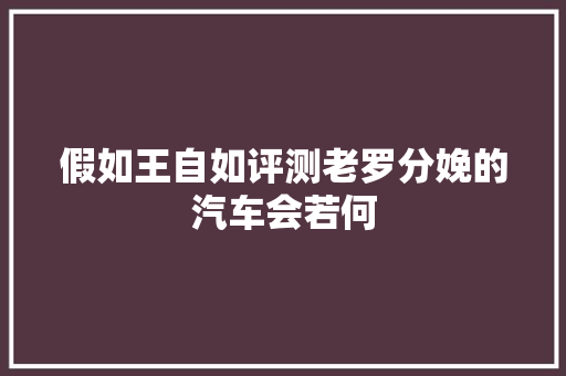 假如王自如评测老罗分娩的汽车会若何