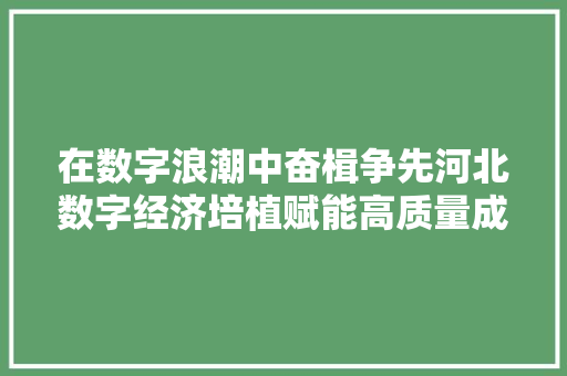 在数字浪潮中奋楫争先河北数字经济培植赋能高质量成长