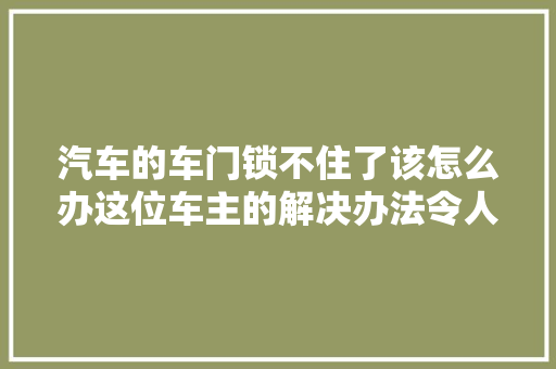 汽车的车门锁不住了该怎么办这位车主的解决办法令人赞叹不已 汽车知识