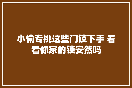小偷专挑这些门锁下手 看看你家的锁安然吗