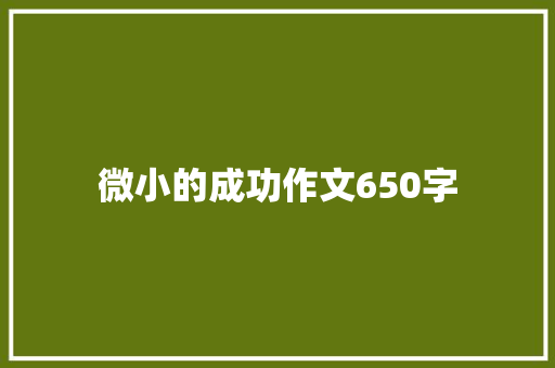 微小的成功作文650字