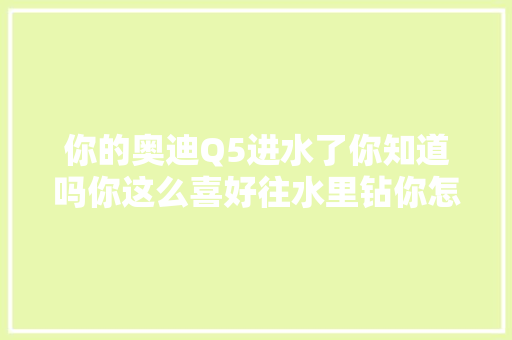 你的奥迪Q5进水了你知道吗你这么喜好往水里钻你怎么不买艘船