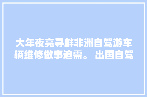 大年夜亮寻衅非洲自驾游车辆维修做事迫需。 出国自驾游